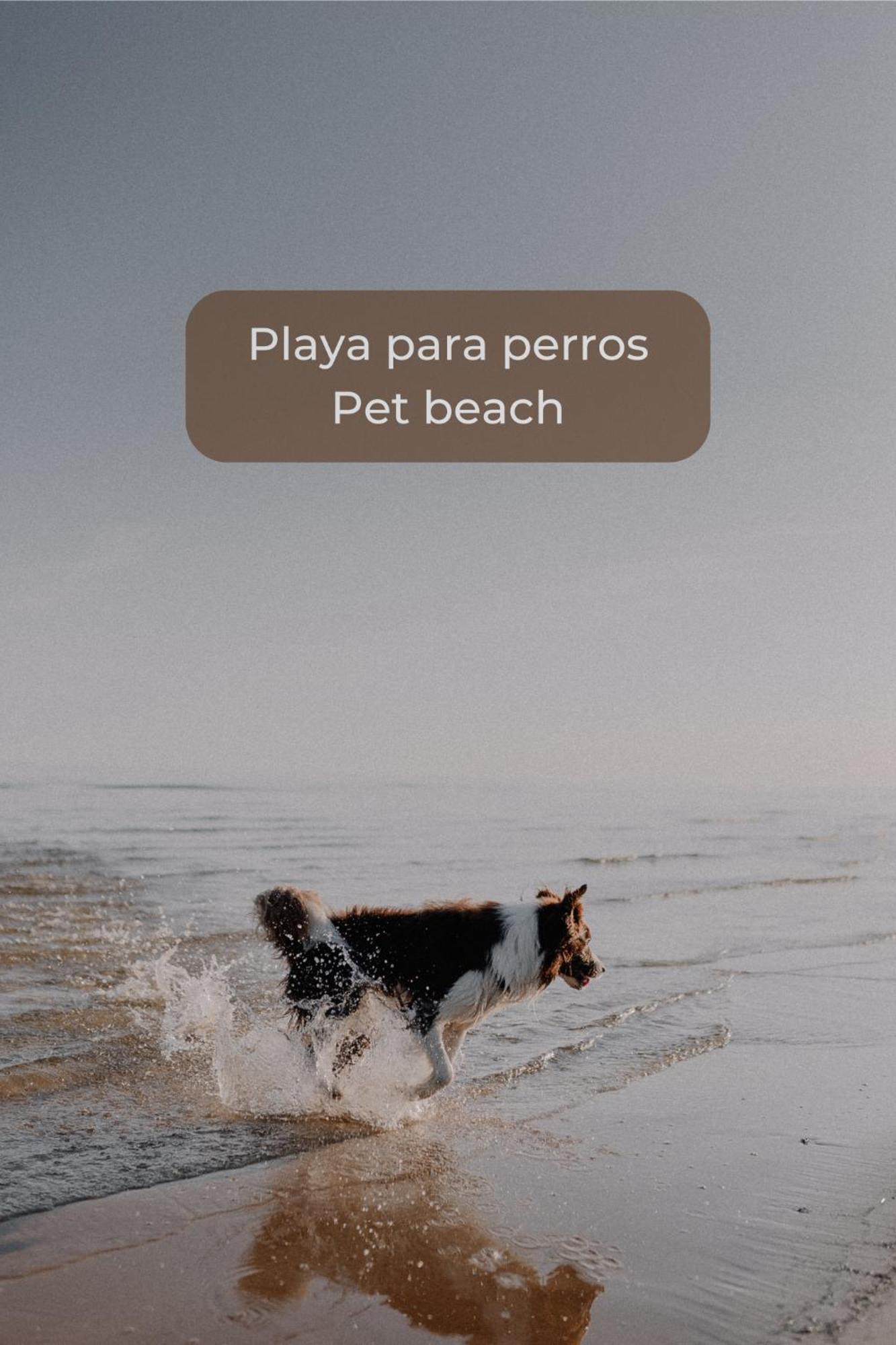 קורלחו Canelita Con Piscina, Soleada Terraza Amplia Wifi Y Parking מראה חיצוני תמונה